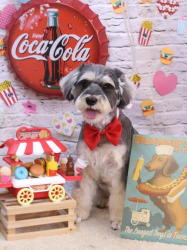 20230915パピコくん